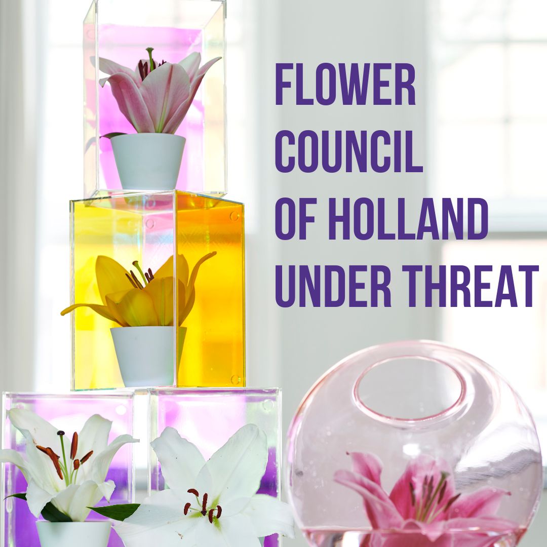 Flower Council of Holland under threat